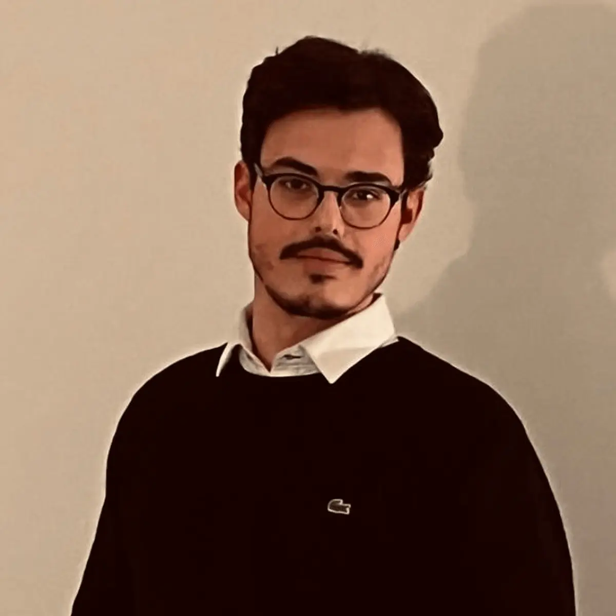 Profile image of Anastasios Stavridis